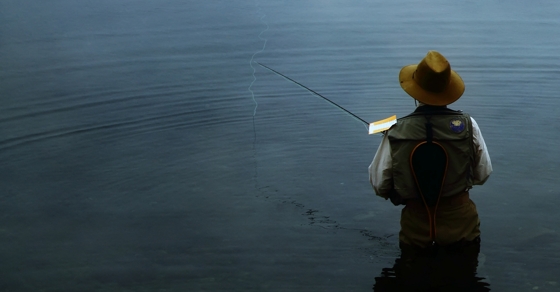 Fog Fishing