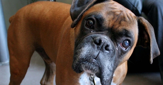 Will Roth Conversion Affect My Estimated Tax Payments?