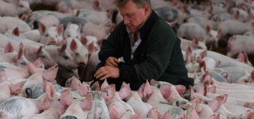 How Much Government Do We Really Have?