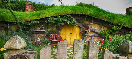 Hobbit Hole