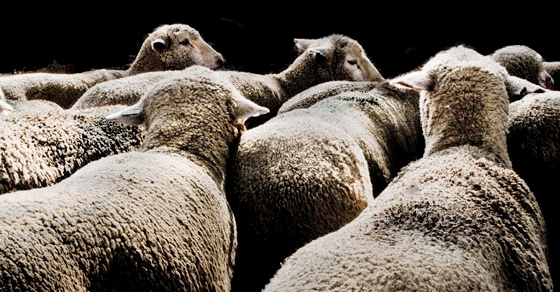 Understanding Cash Flow Is Critical