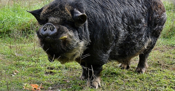 How Much Does the Government Cost?