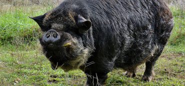 How Much Does the Government Cost?