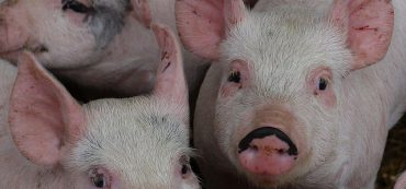 How Much Government: The Math