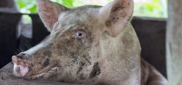 Taxed Enough Already?