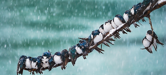 Radio: Twelve Tax Planning Agenda Items To Do Before April 15