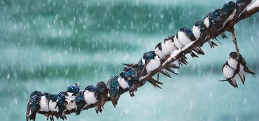 Radio: Twelve Tax Planning Agenda Items To Do Before April 15