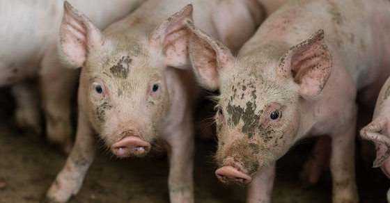 Sordid History of the Income Tax: from 3% to 39.6%