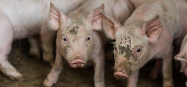 Sordid History of the Income Tax: from 3% to 39.6%