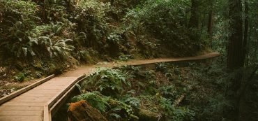 Jack Bogle: The Value Of An Advisor Who Sticks To A Long-Term Plan