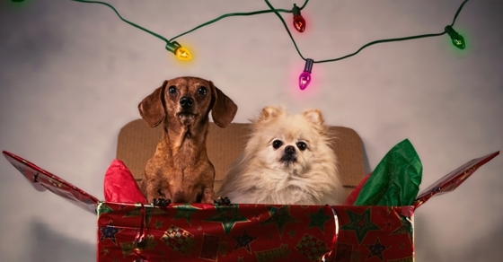 Giving To Charity In Order to Receive An Annuity