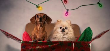Giving to a Charity to Receive an Annuity