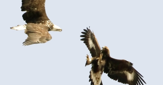 What Is The Correlation Between US Stocks and Foreign Stocks?