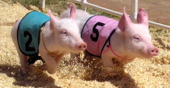 Should I Fund a Roth or a Traditional Account?