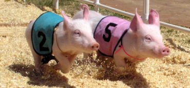 Should I Fund a Roth or a Traditional Account?