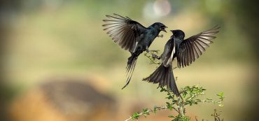 What Is The Relationship Between Number Of Holdings and Returns?