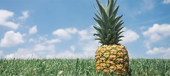 How Can I Contribute to Two Roths?