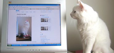 #TBT How to Keep Your Identity Safe Online