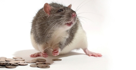 Advisors Save Clients From Costly Mistakes By Social Security Workers