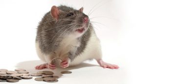 Advisors Save Clients From Costly Mistakes By Social Security Workers