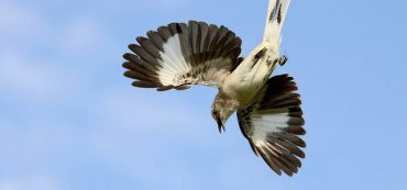 Lessons from the Crash of 2007-2008