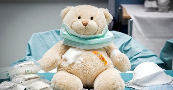 Teddy Bear: The Bear Market of 1957