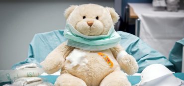 Teddy Bear: The Bear Market of 1957