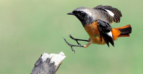 When Are Taxes Due On A Roth Conversion?