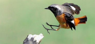 When Are Taxes Due On A Roth Conversion?