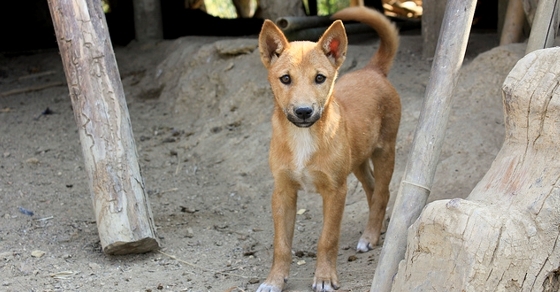 Seven Reasons Your Retirement Might Fail