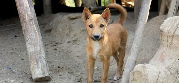 Seven Reasons Your Retirement Might Fail