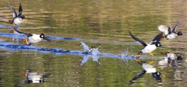 Don’t Mistake Volatility For Loss