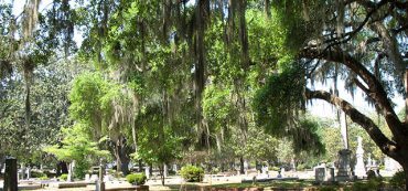 Radio Interview: Wills, Estates, and Beneficiaries