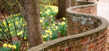 Marotta’s 2016 UVA Fidelity 401(a) Plans Calculator