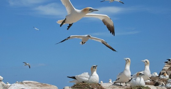 Mailbag: Why Doesn't Everyone Want High-Yield Bonds?