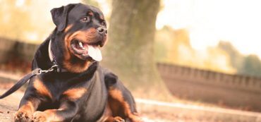 Department of Labor’s New Fiduciary Ruling