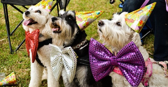 Gifts, Taxes, and IRS Form 709