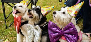 Gifts, Taxes, and IRS Form 709