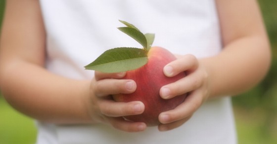 Tax Loss Harvesting and Wash Sales