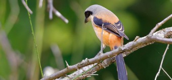 How Long Should I Give An Investment Plan?