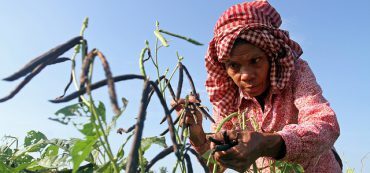 Qualified HSA Funding Distribution