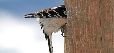 Narrowly Framed Questions Fail to Meet Life Goals