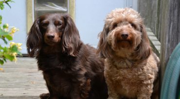 Why the Ending Value on your Performance Report Differs from your Statement