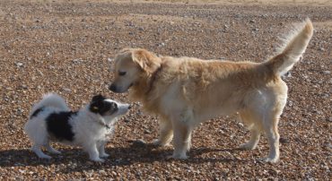 What NOT to Compare on Performance Reports