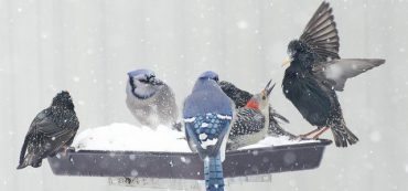 Changing Your Financial Behavior Is Difficult