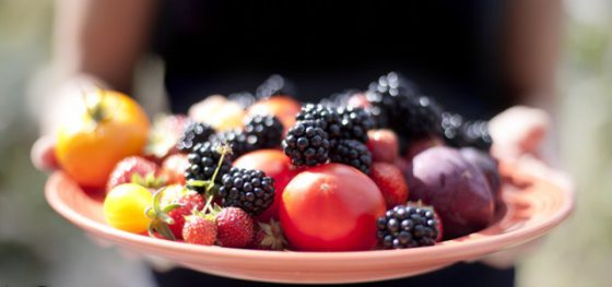 Best Practices for Trusts, Foundations, and Endowments