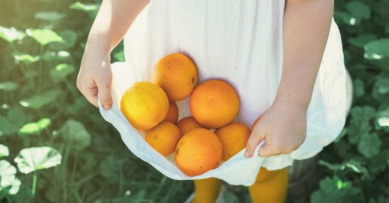 Fulfilling Your Fiduciary Duty as a Trustee or Board Member