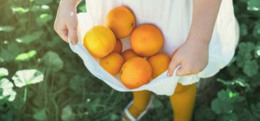 Fulfilling Your Fiduciary Duty as a Trustee or Board Member