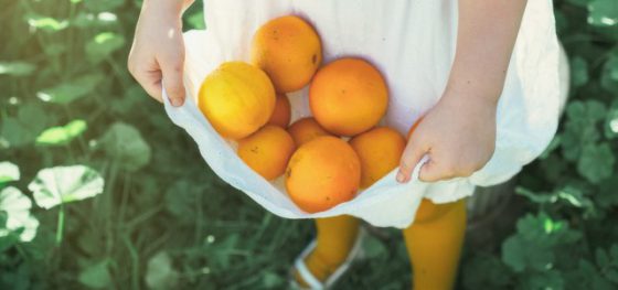 Fulfilling Your Fiduciary Duty as a Trustee or Board Member