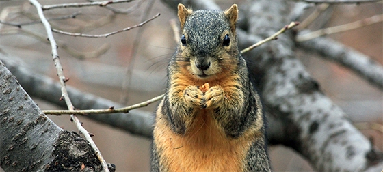 Family Financial Lifecycle